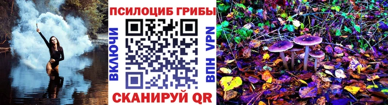Псилоцибиновые грибы Psilocybine cubensis KRAKEN ONION Снежинск